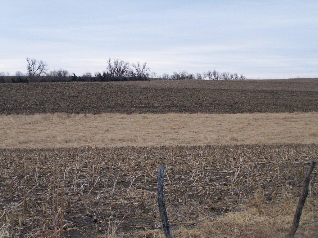 David Bowhay Property For Sale