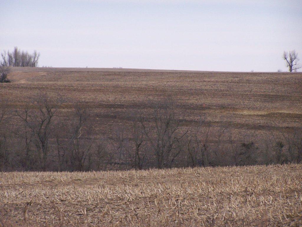 David Bowhay Property For Sale